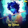 About Shyam Ke Bina Song